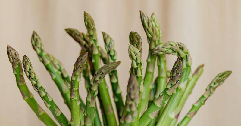 Pexels/Photo By: Kaboompics.com